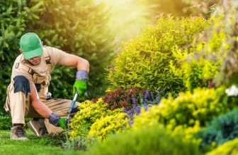 What Are the Essentials of a Low-Maintenance Garden Design?